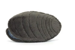 JELLYCAT MICHELLE MUSSEL -Robinson alnwick 822FD993 9E76 4141 A0DB D1ADD200FAA3