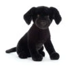 JELLYCAT PIPPA BLACK LABRADOR -Robinson alnwick image 02217c6b 9282 4b87 aa4d 73bdcd95f07c