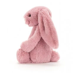 JELLYCAT BASHFUL TULIP PINK BUNNY SMALL -Robinson alnwick image c7957c21 80e0 4897 92f4 a348ffd7f62a