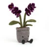 JELLYCAT AMUSEABLE PURPLE ORCHID -Robinson alnwick image d68f4fa5 b720 467c 91ad 03388272feb8